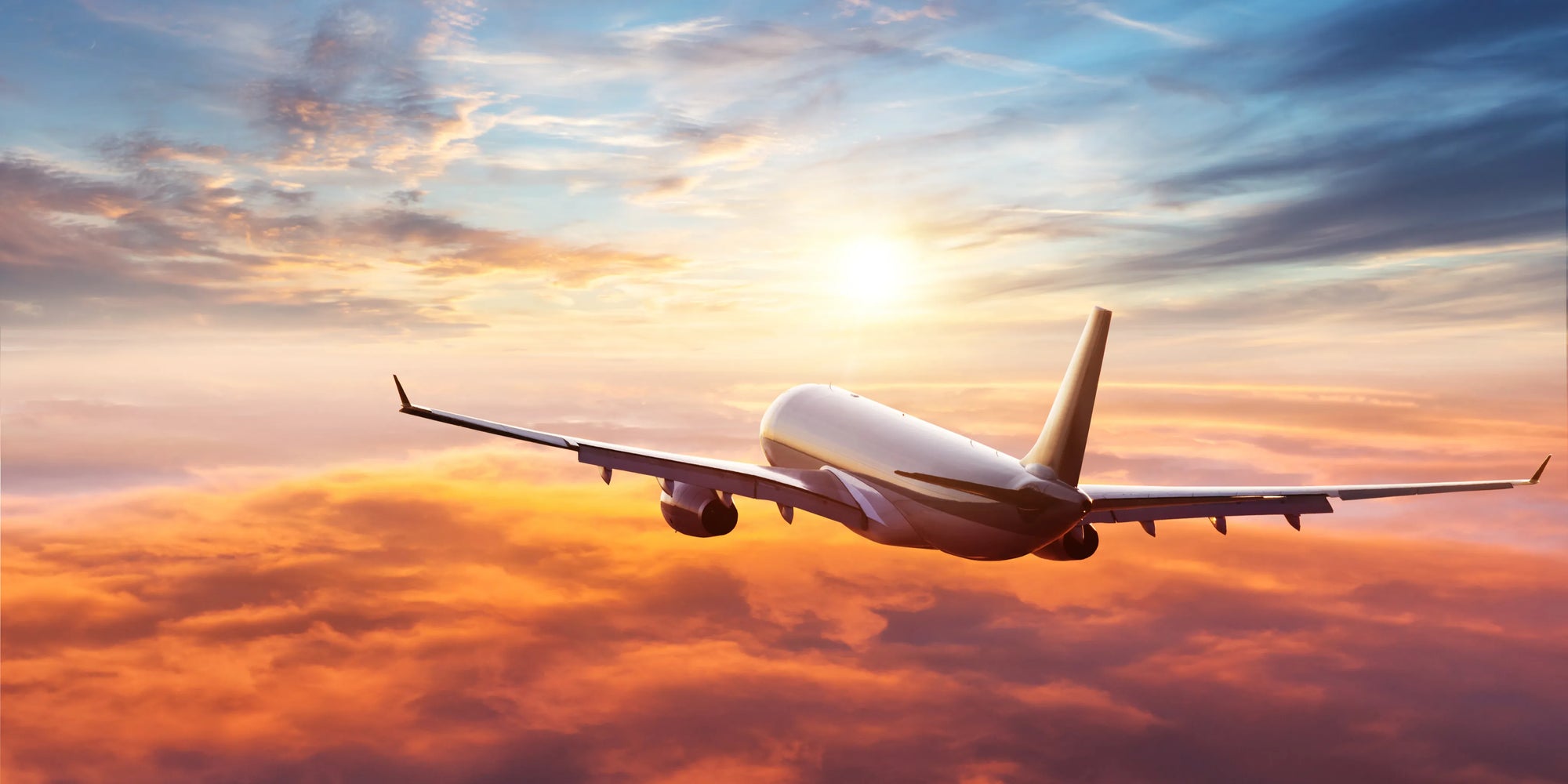 Best Airplane Snacks for Your Next Trip
