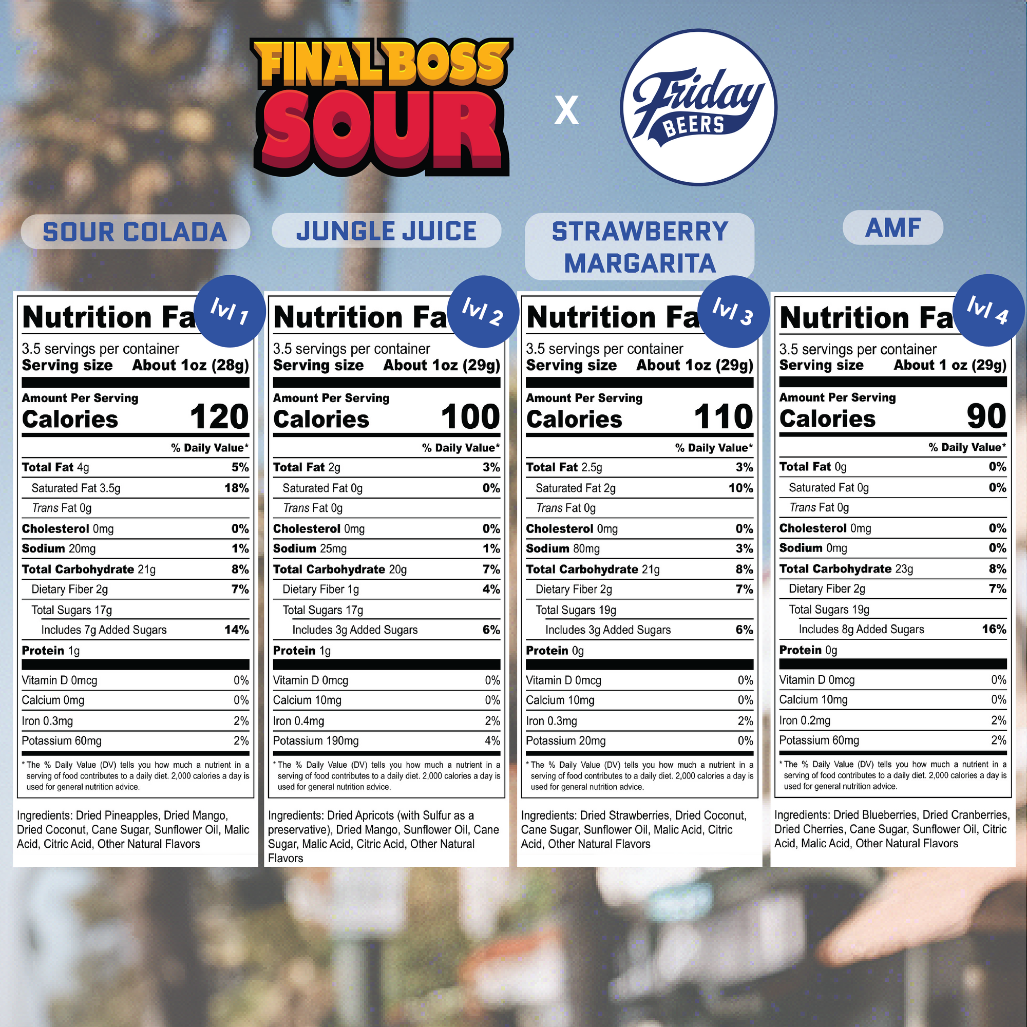 FRIDAY SOURS (only 40 left)- A Friday Beers Collab