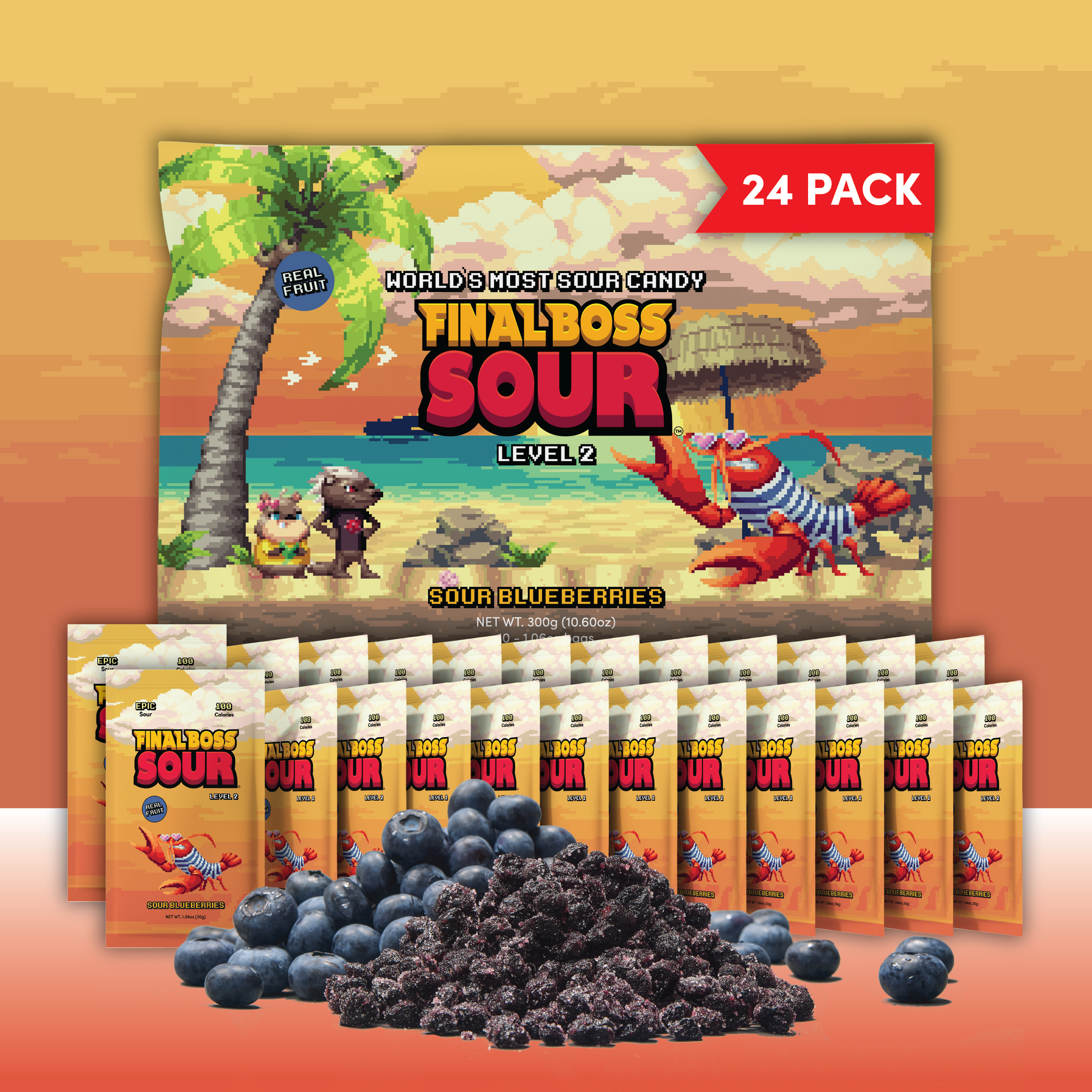 Level 2 Blueberries (24 Pack)