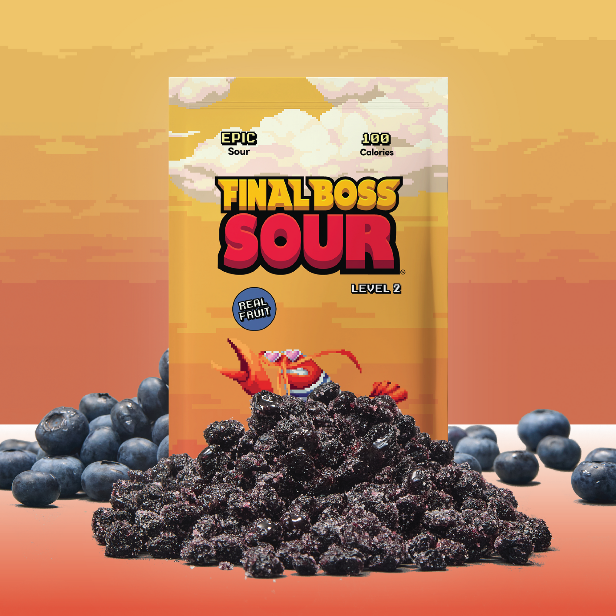 Level 2 Blueberries (24 Pack)