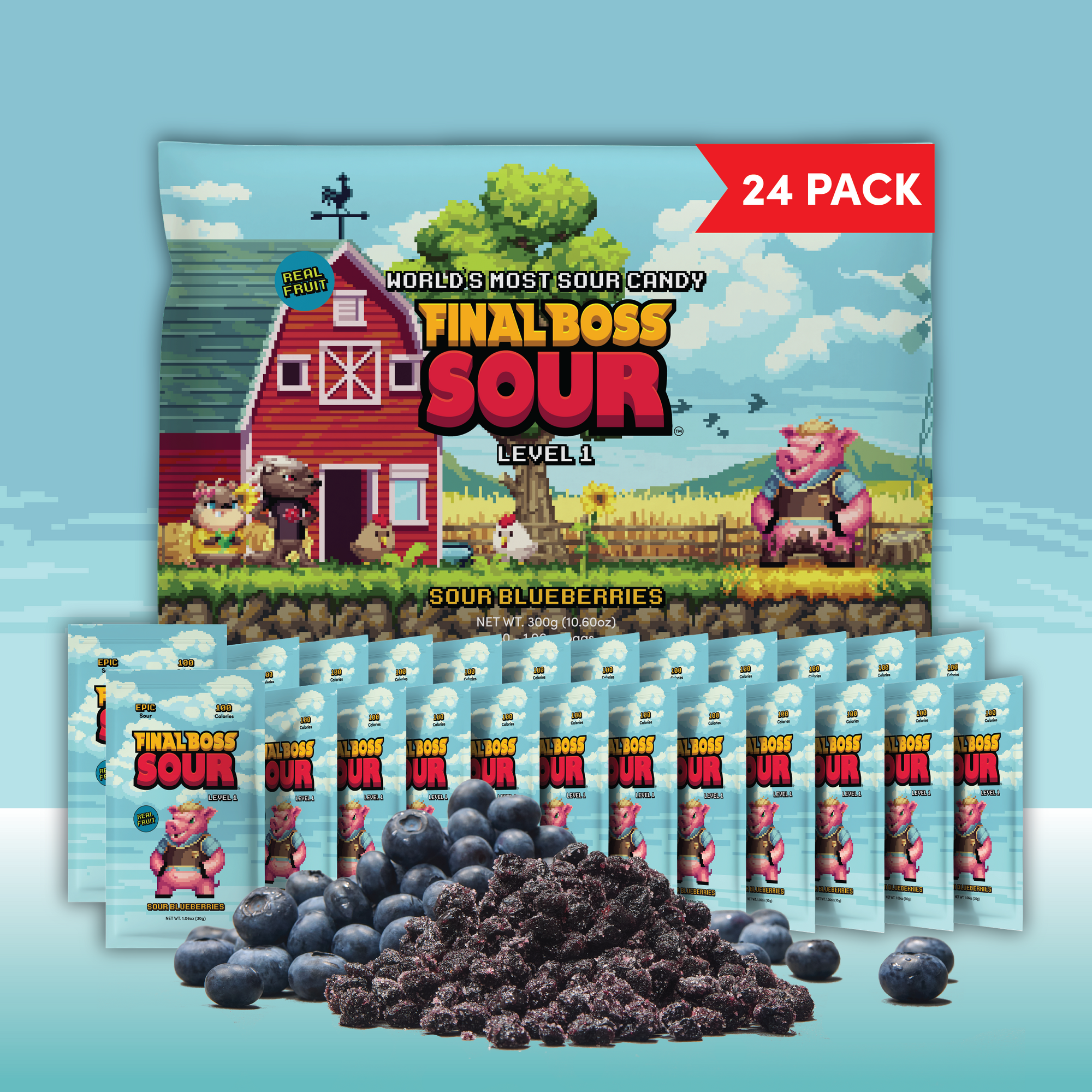 Level 1 Blueberries (24 Pack)
