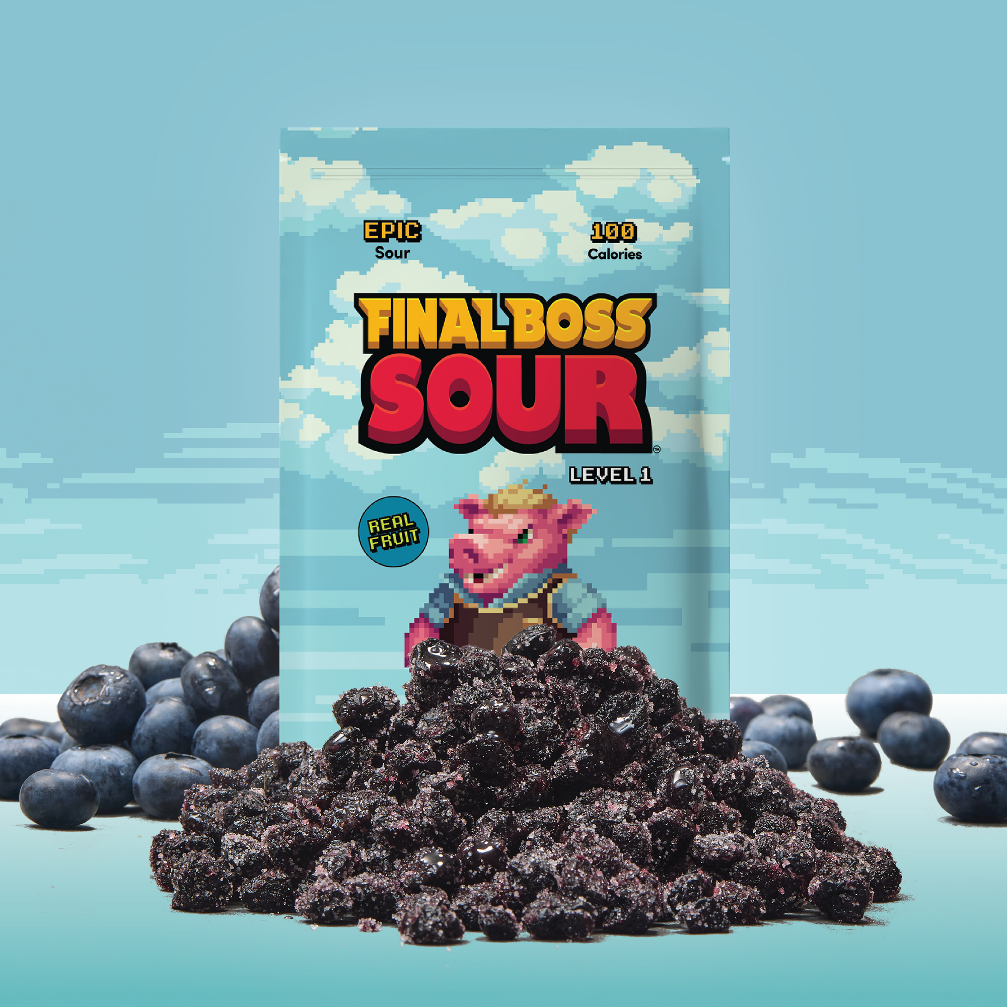 Level 1 Blueberries (24 Pack)