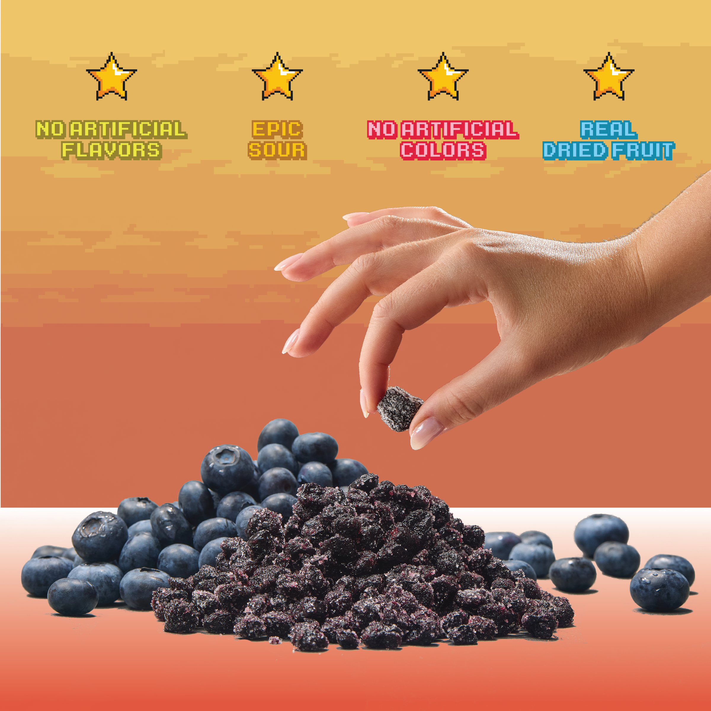 Level 2 Blueberries (24 Pack)