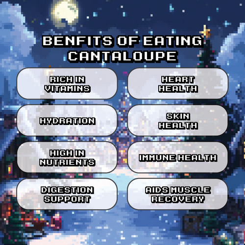 Christmas Cantaloupe (Level 2) (4-Pack)