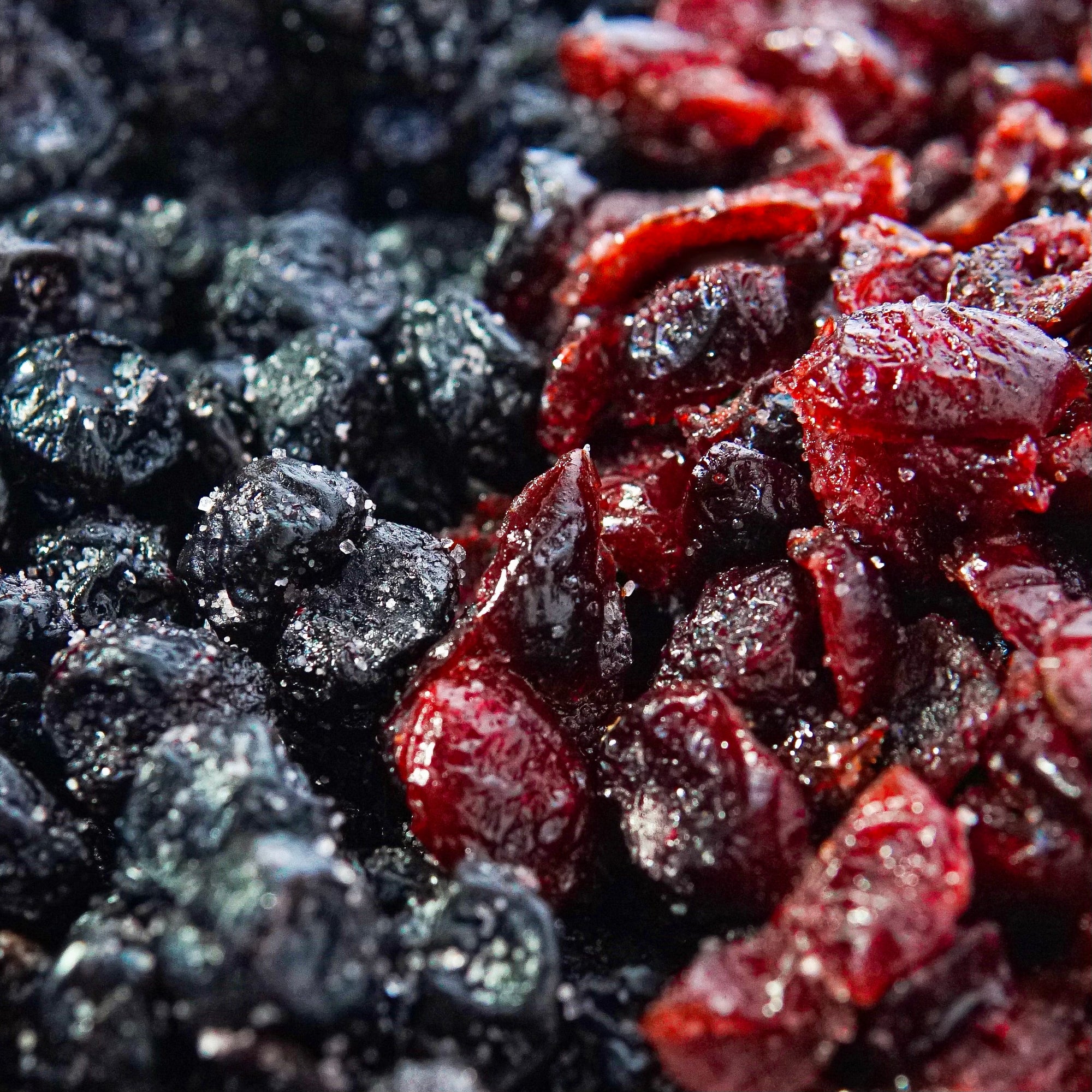 Dried Sour Cranberries and Blueberries